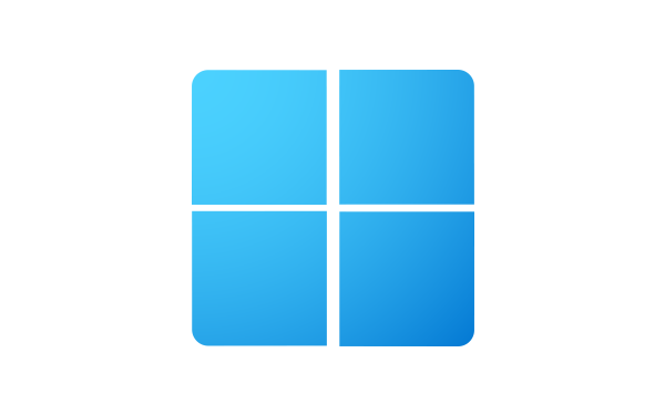 Windows 11 Key 线上启动密钥 专业版 家庭版 工作站专业版（Professional Home Workstations)